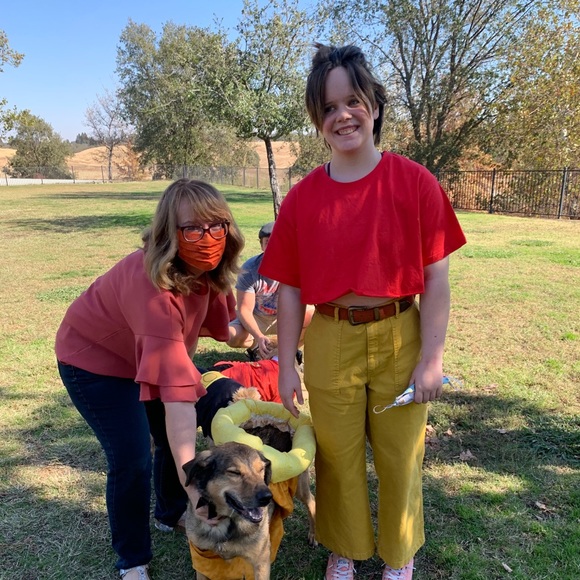 Meet your Posher, Julia - Picture 2 of 2